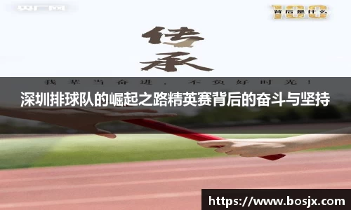 深圳排球队的崛起之路精英赛背后的奋斗与坚持
